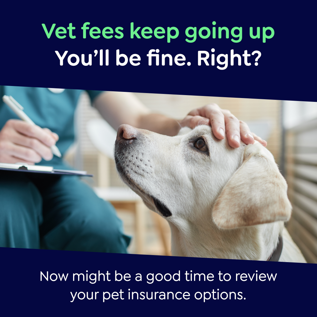 Petgevity UK Facebook ad: Lifetime Protection, for Less