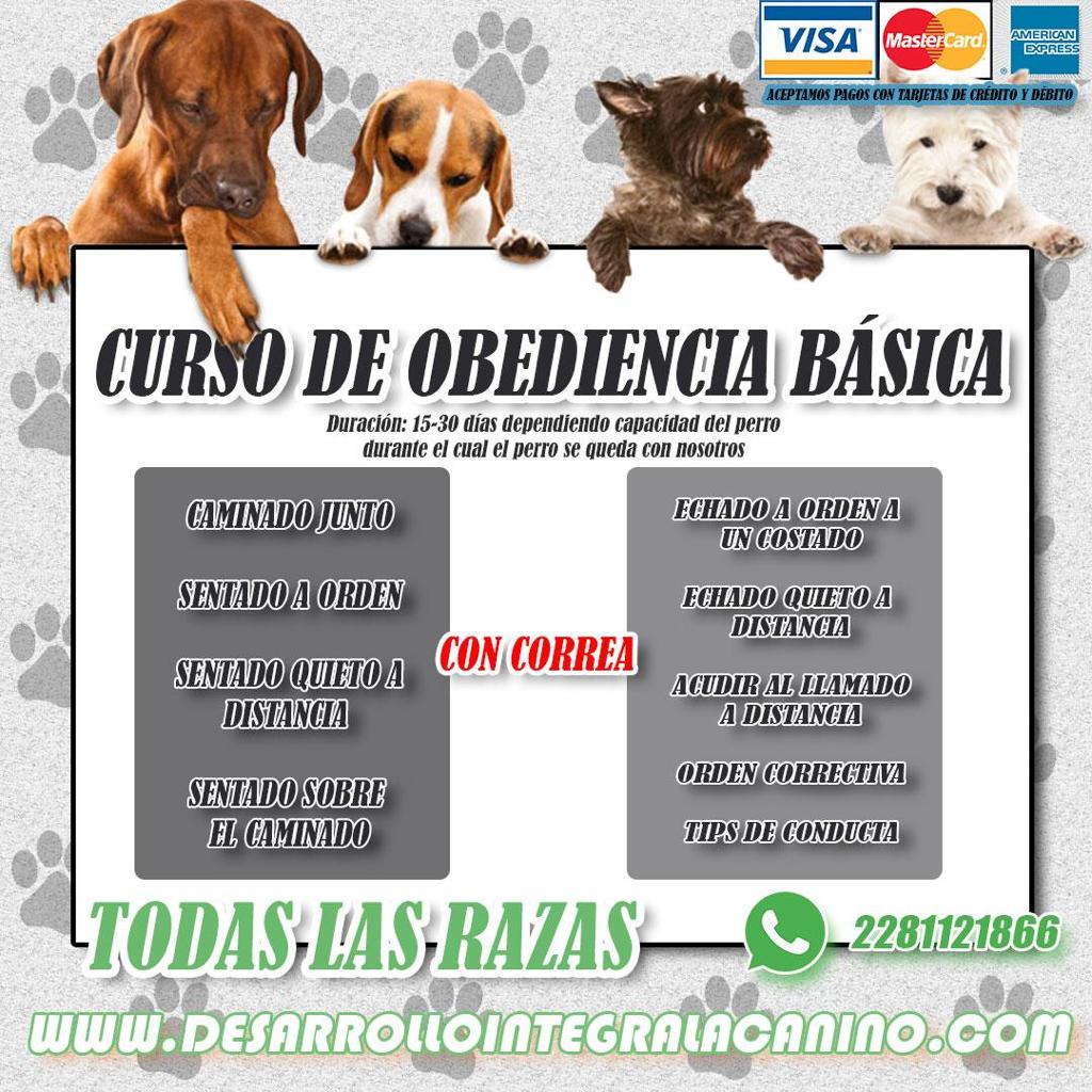 Desarrollo Integral Canino Facebook ad: ¿Te gustaría convivir con tu sin que te…