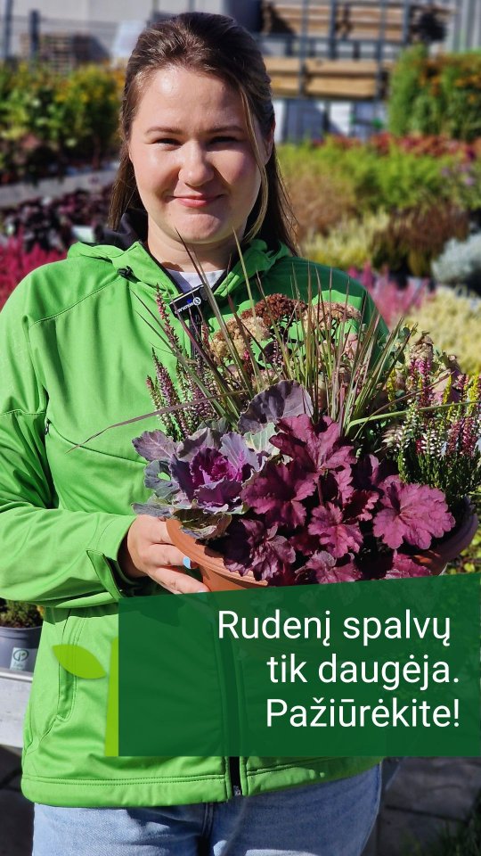 Žaliastotelė.lt Facebook ad: Rudens favoritai jau laukia