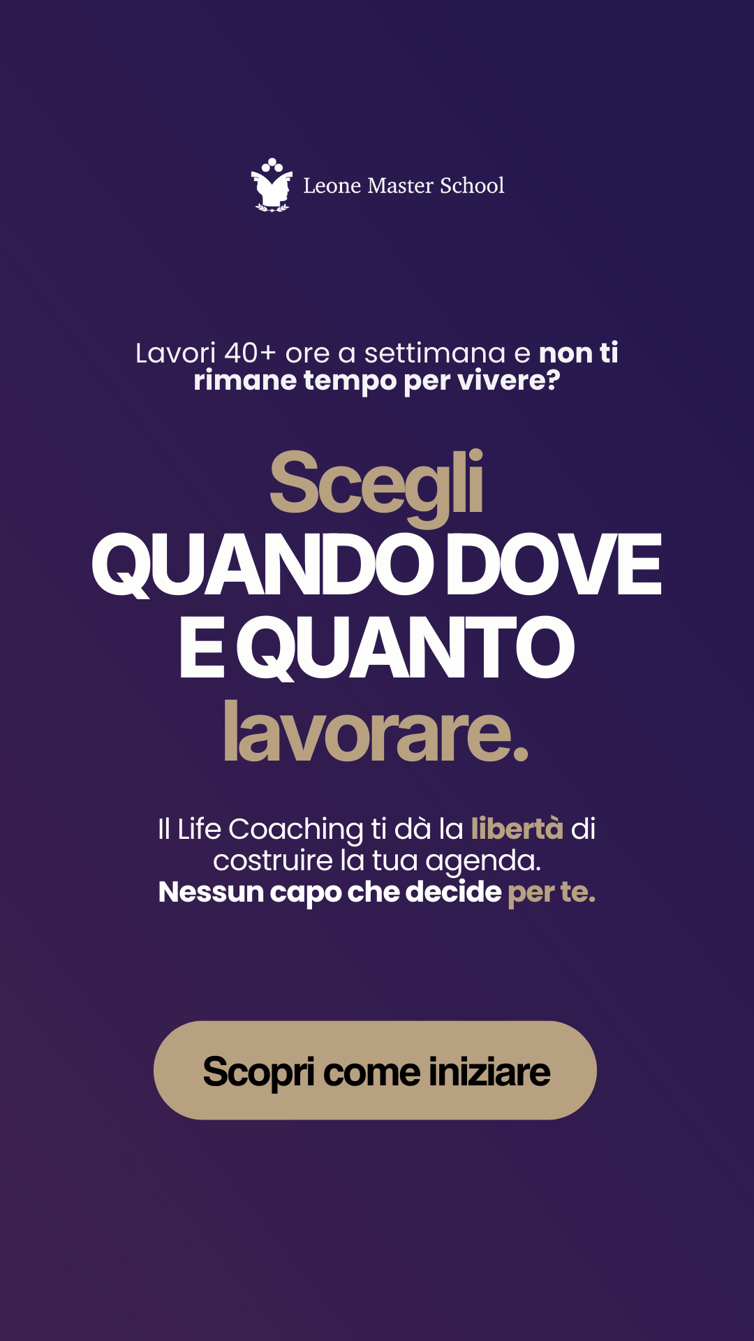 Leone Master School - LMS Facebook ad