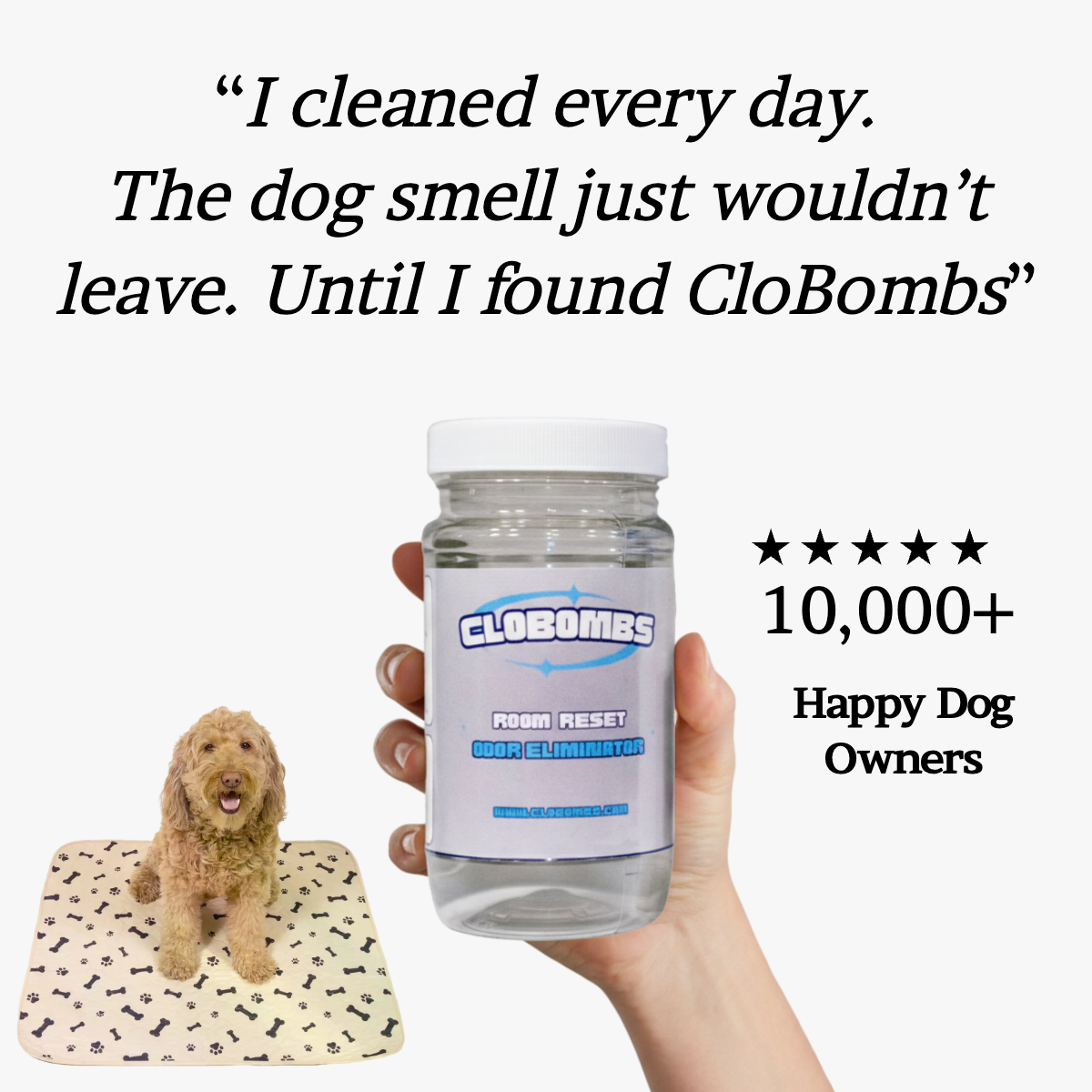 CloBombs - #1 Odor Eliminator in Market Facebook ad: You’re Not Smelling It Anymore. Your Guests Are.