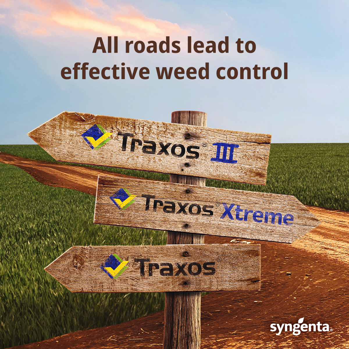Syngenta Canada Facebook ad: Triple the choice, triple the confidence.