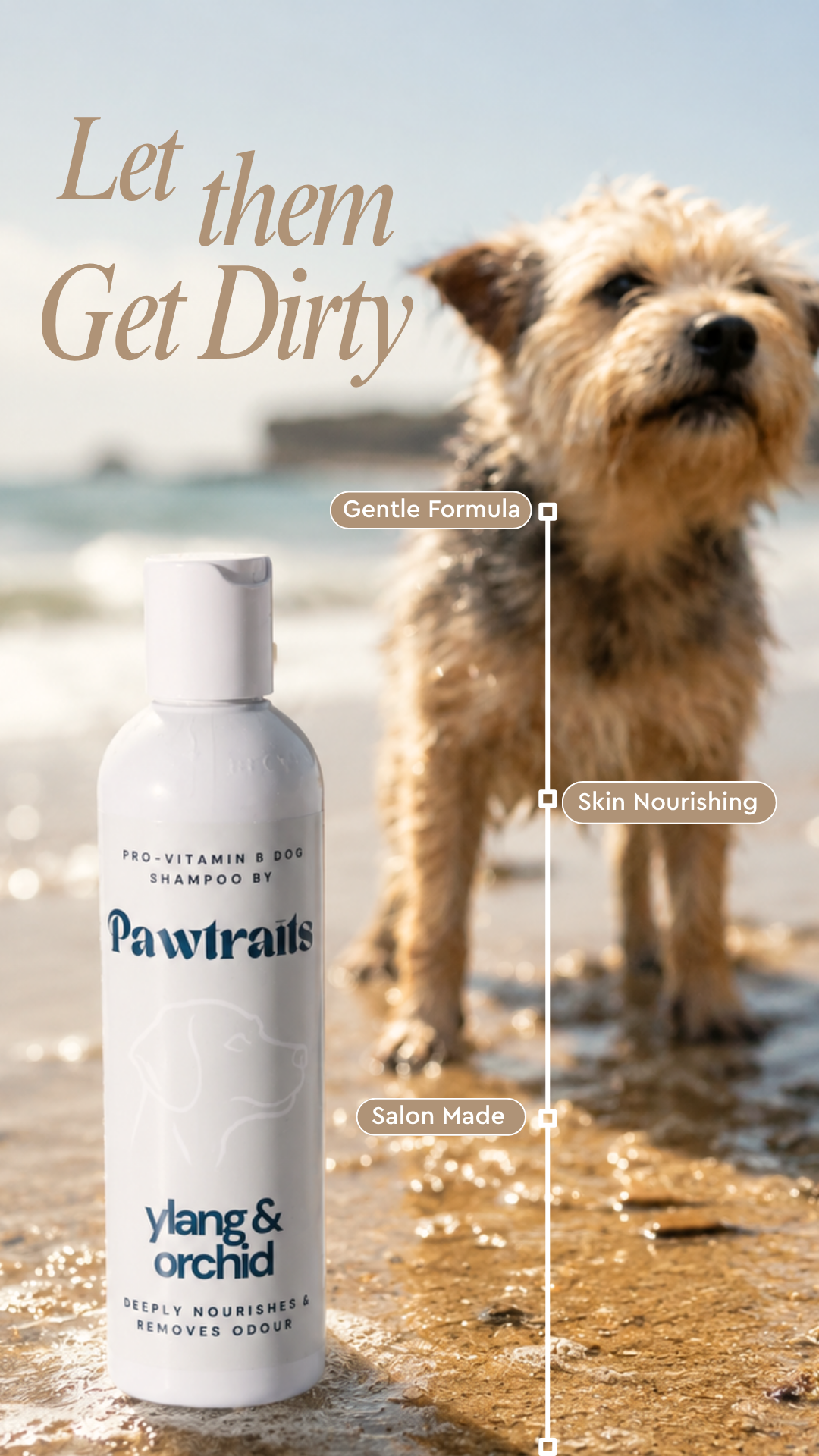 Pawtrait Dog Salon Facebook ad