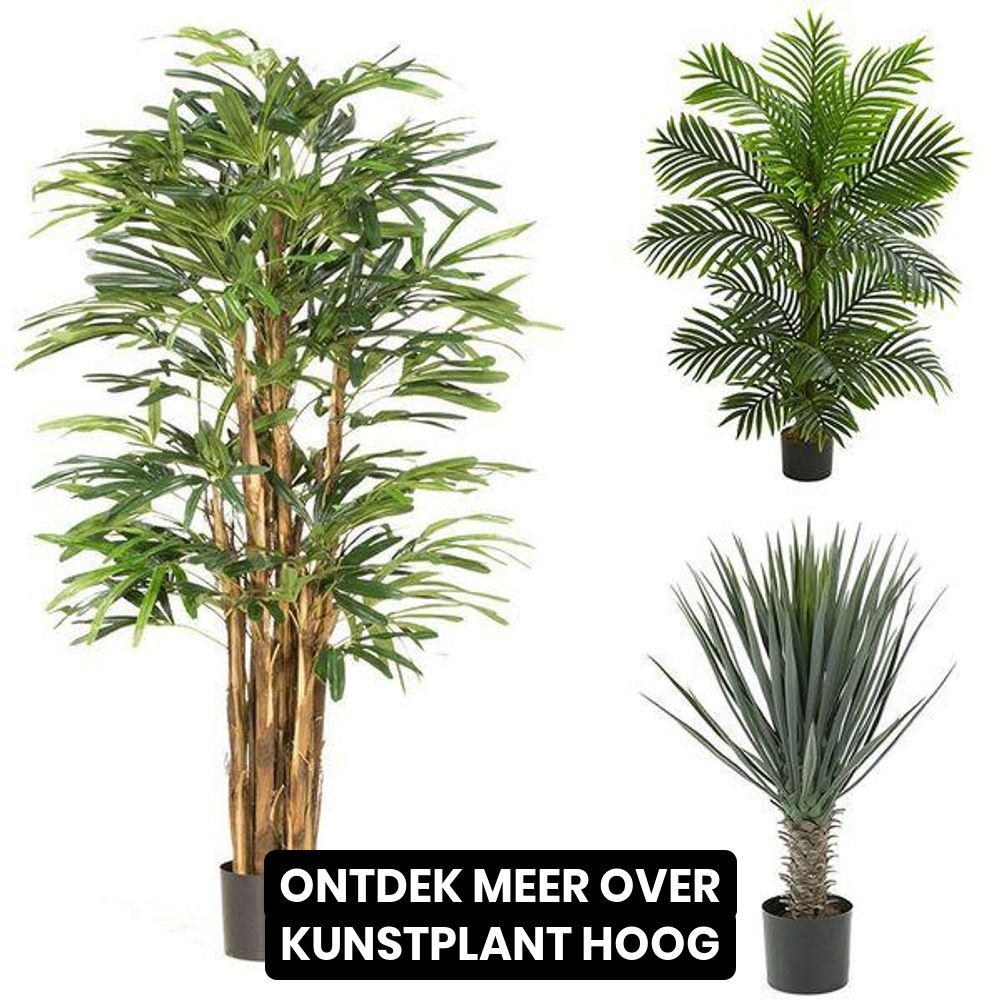 Orboto Facebook ad