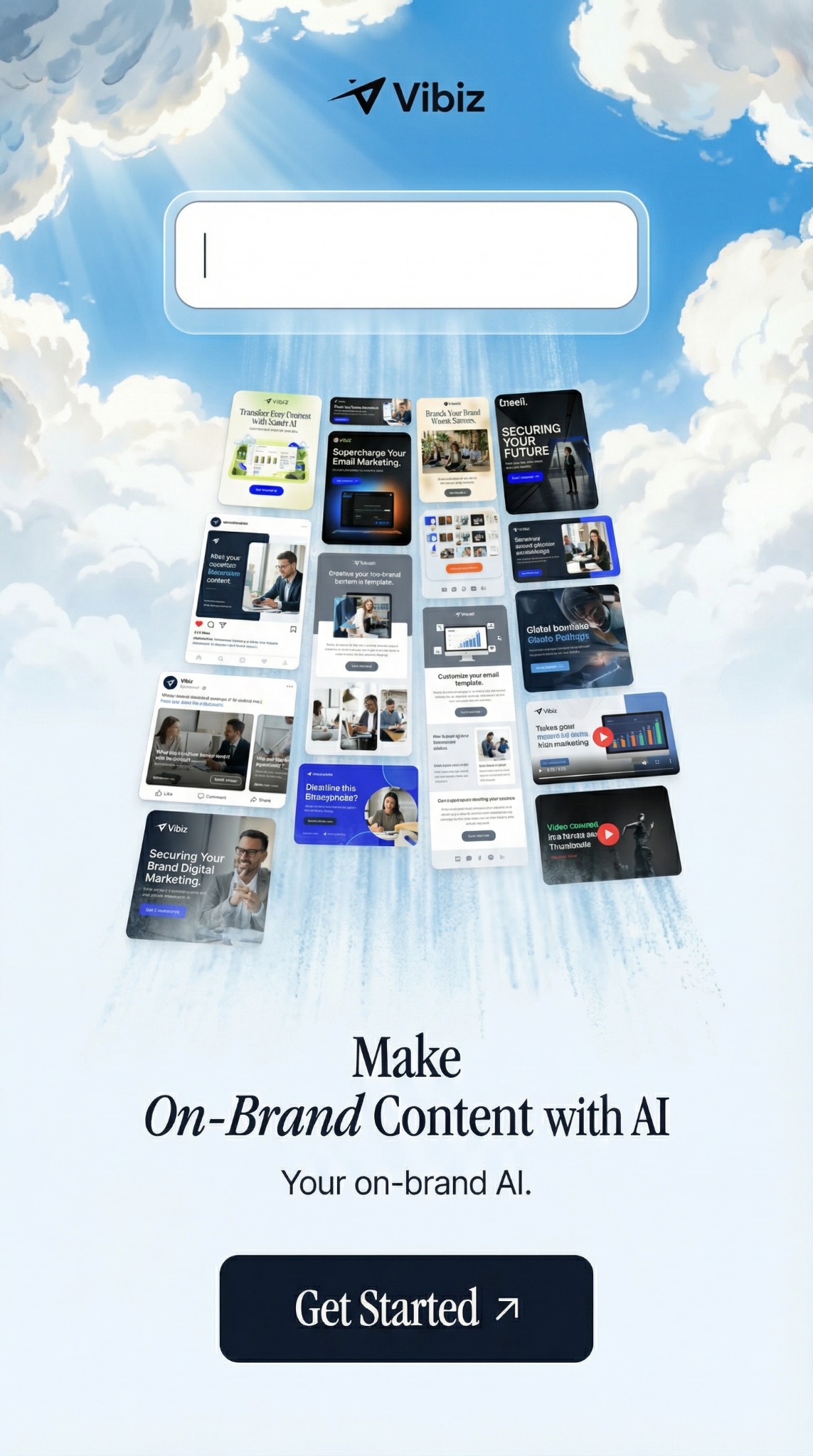 Vibiz Facebook ad