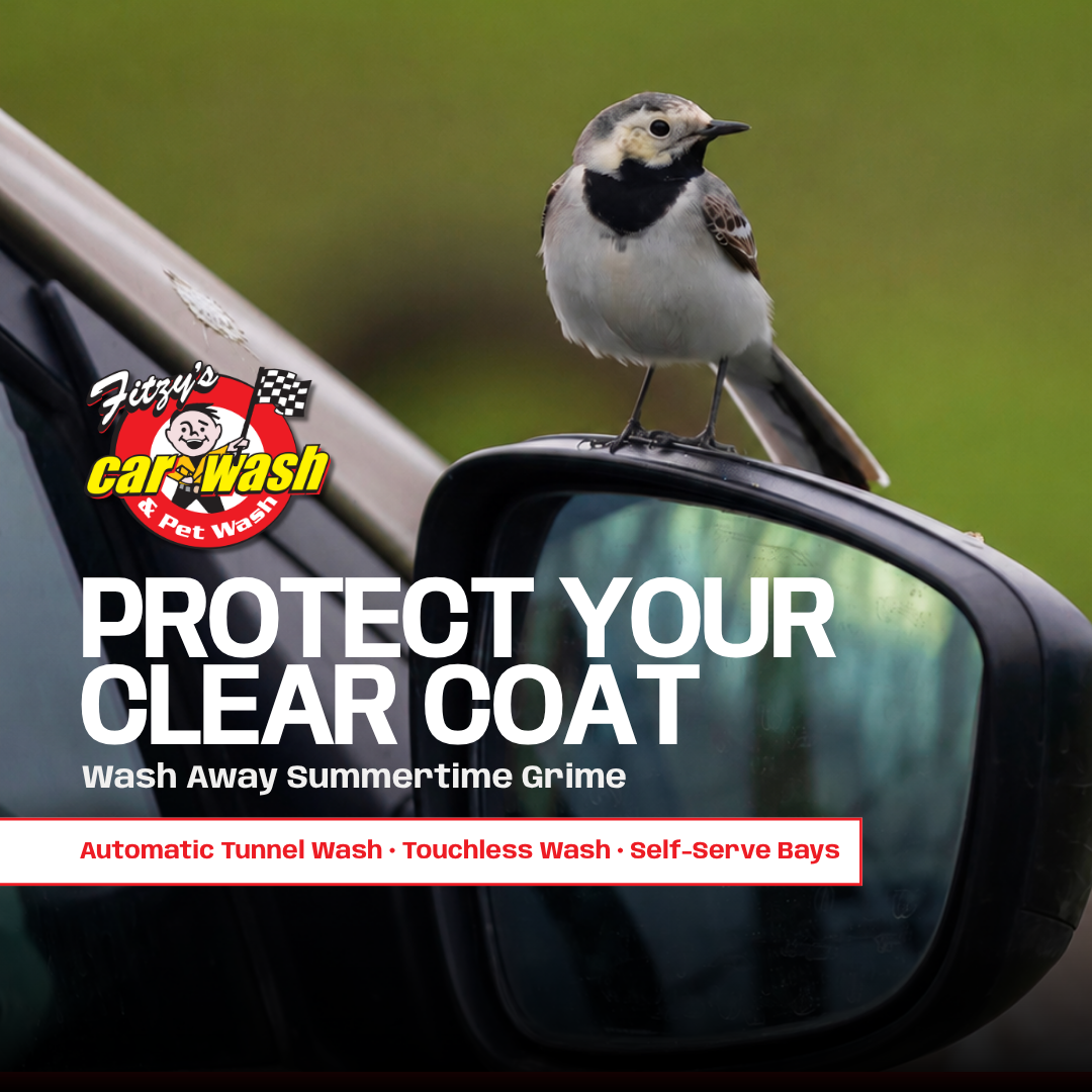 Fitzy's Car and Pet Wash Facebook ad