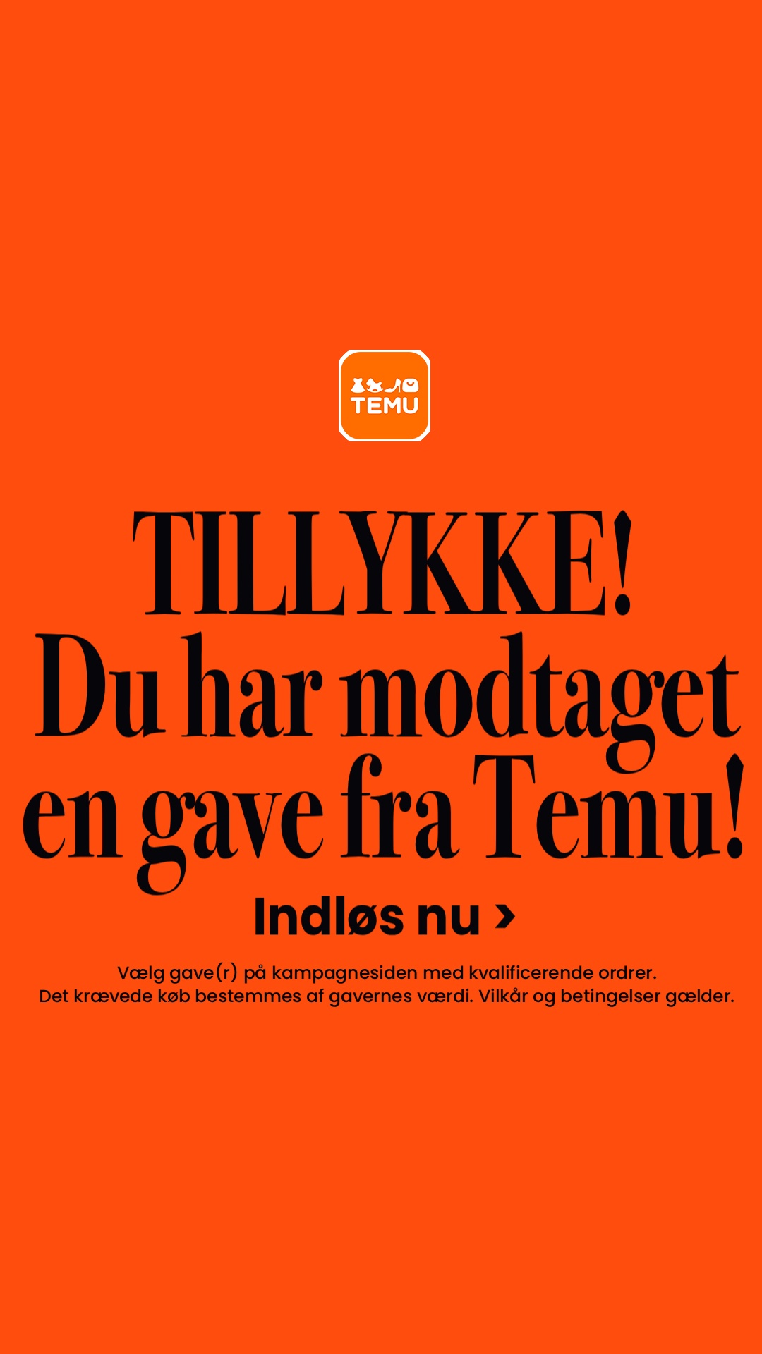 Temu Denmark Facebook ad