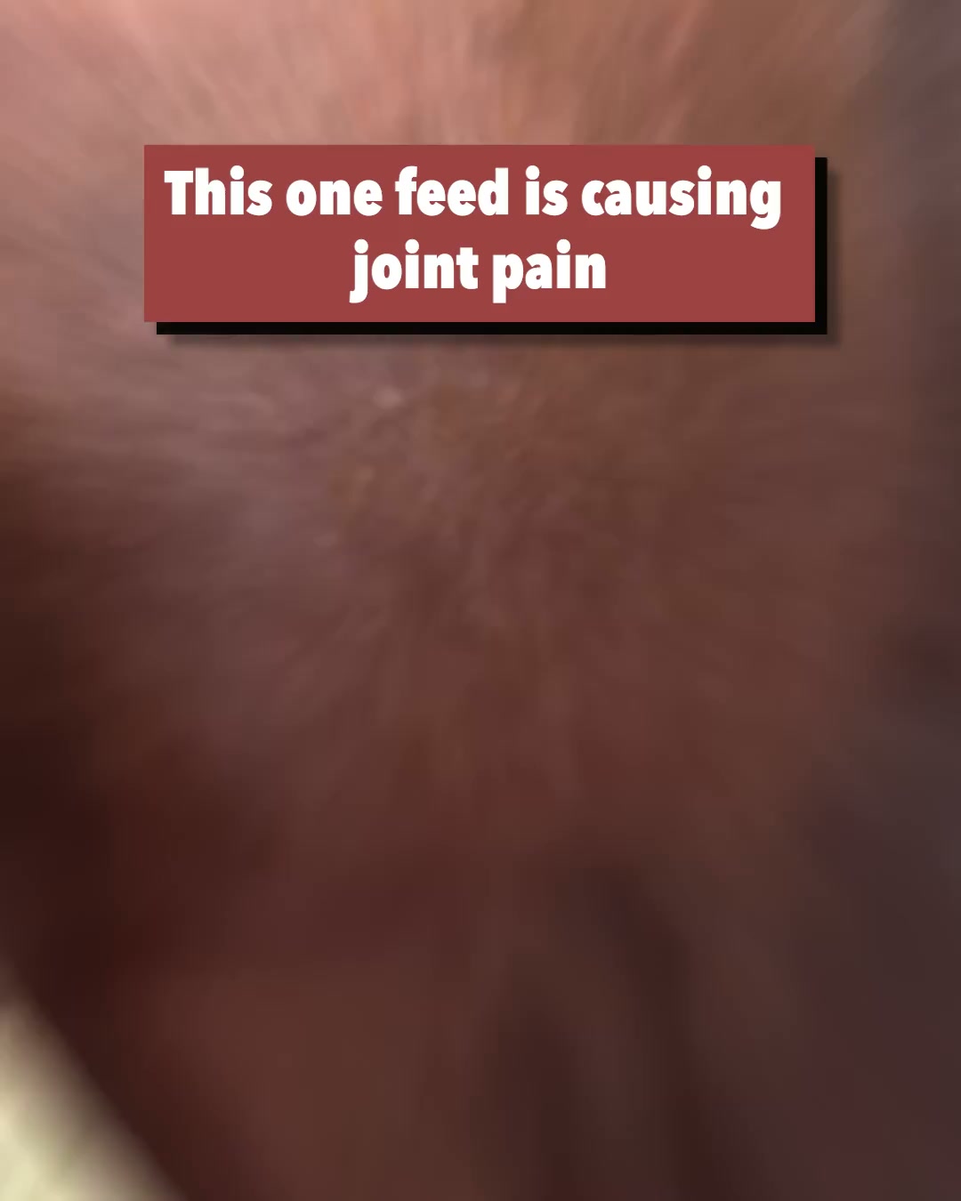 Wild Mane Facebook ad: Help your horse feel like themselves again