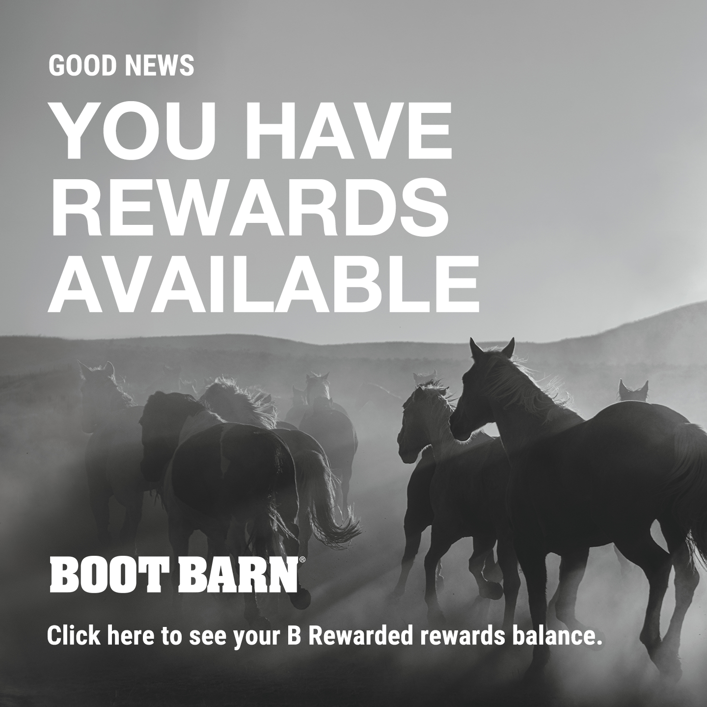 Boot Barn Facebook ad