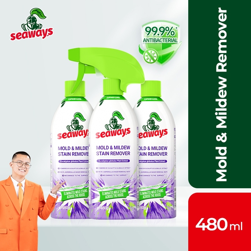 Seaways philippine Facebook ad: Rainy season is long and smelly.