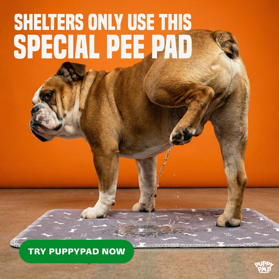 PuppyPad Facebook ad