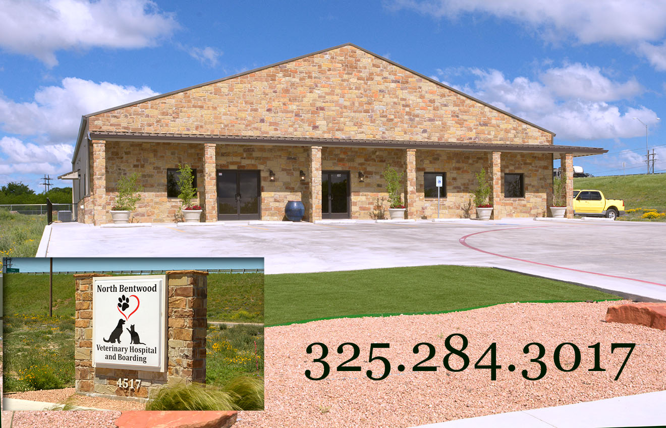 North Bentwood Veterinary Hospital and Boarding Facebook ad: At North Bentwood Veterinary Hospital and Boarding, we…
