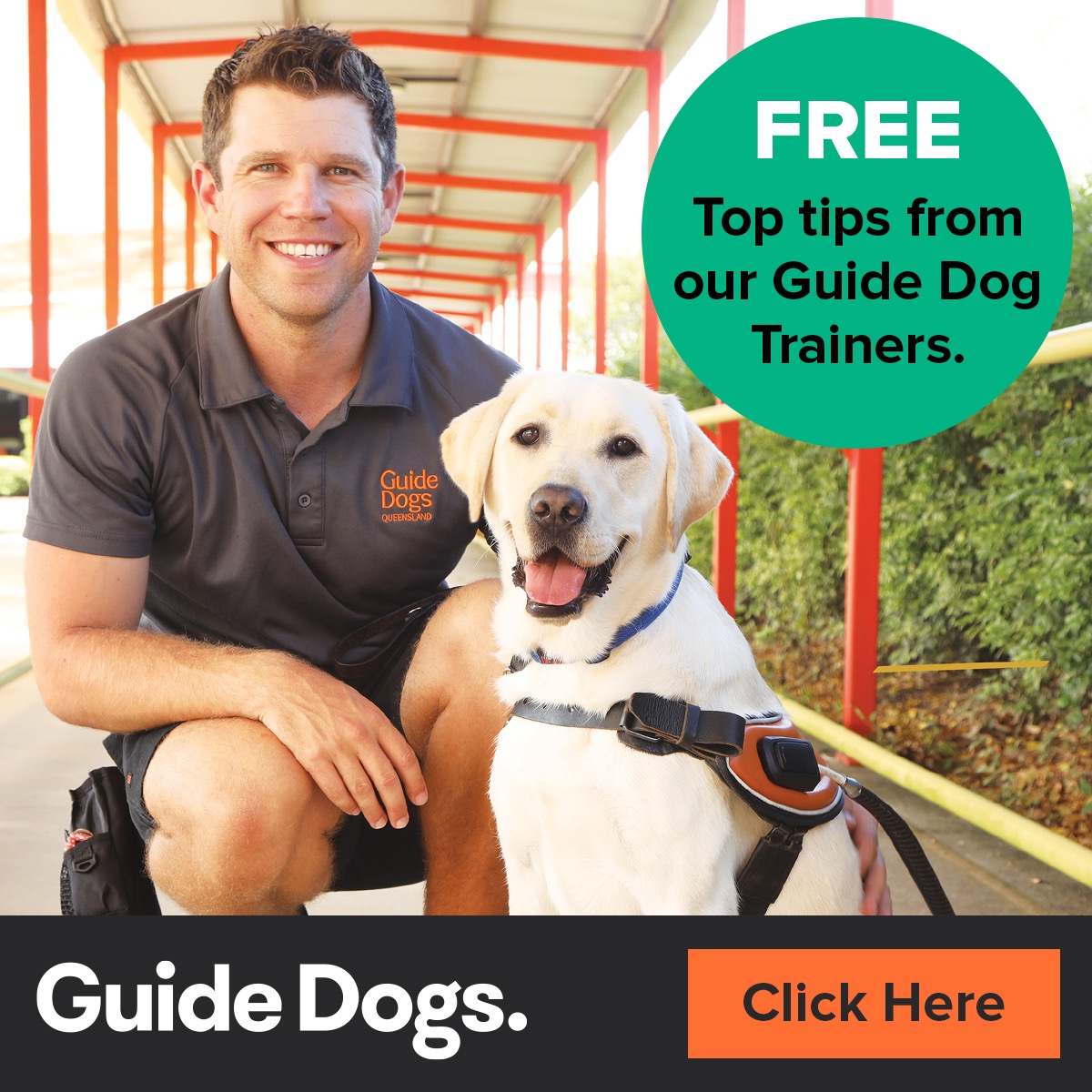 Guide Dogs Australia Facebook ad from Feb 24, 2026