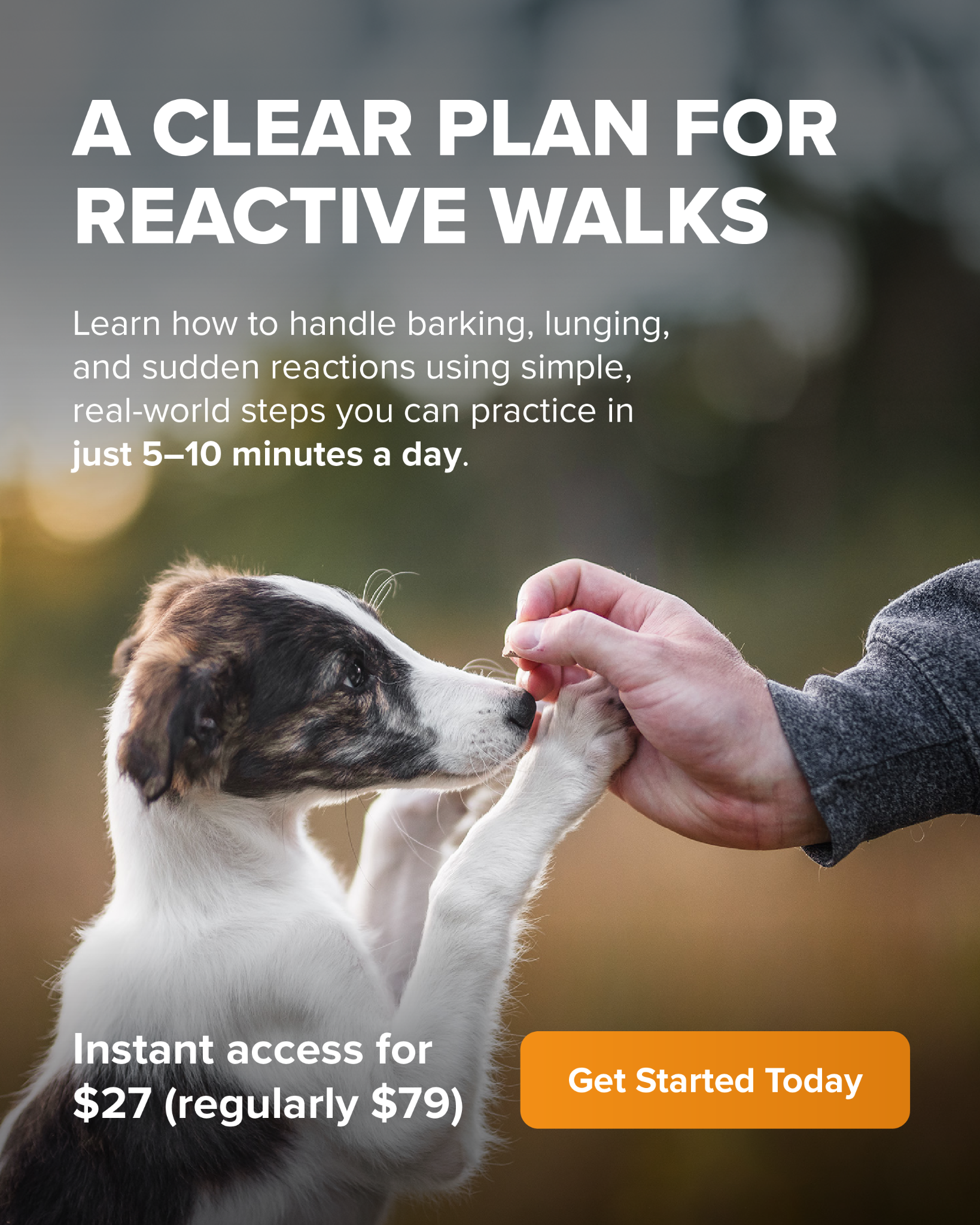 SpiritDog Training Facebook ad