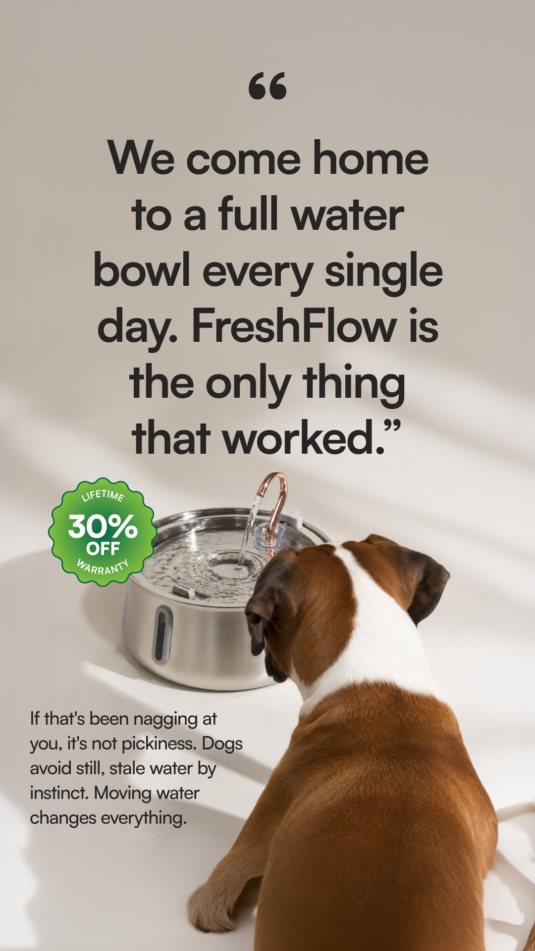 Rhykin Pet Co Facebook ad