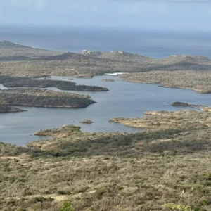 Bonaire-taxi.com Facebook ad: Homepage - Bonaire Taxi Tours