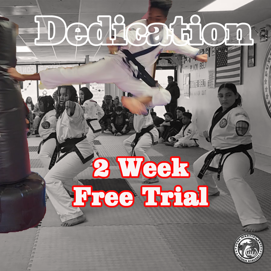 Pure Martial Arts Fitness Academy Facebook ad
