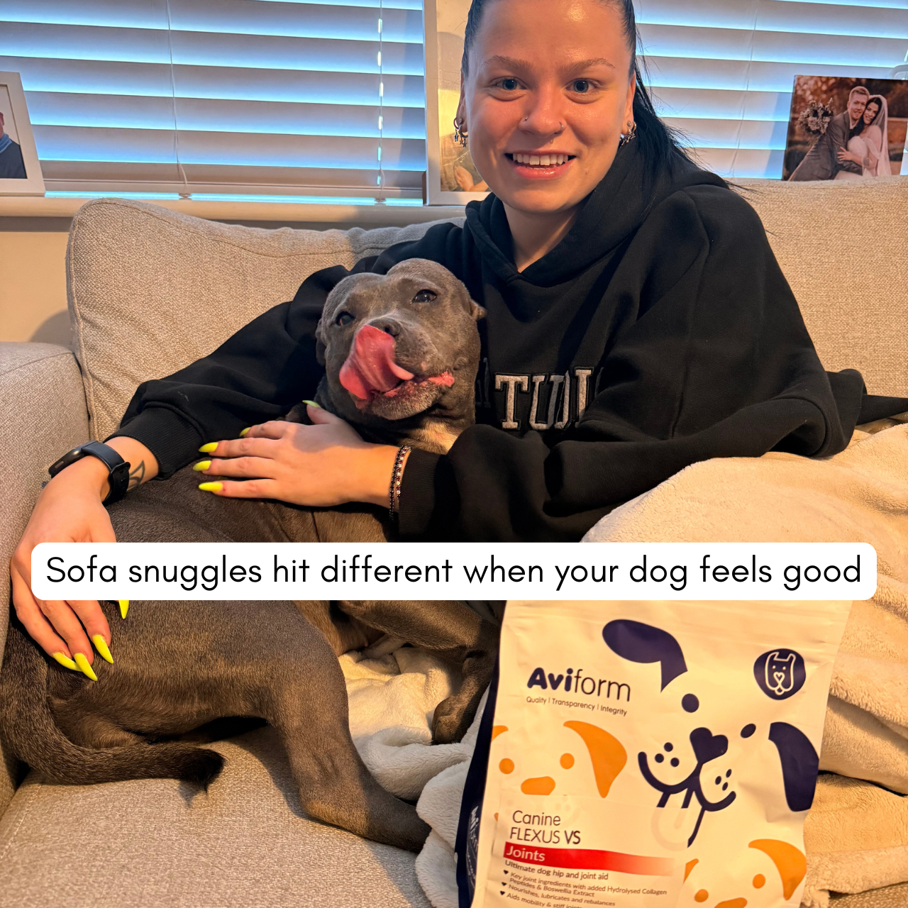 Aviform Nutrition UK - Horse & Dog Facebook ad