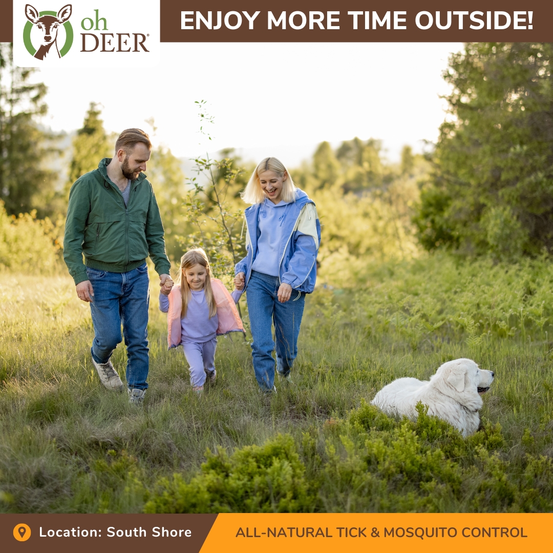 ohDEER South Shore Facebook ad