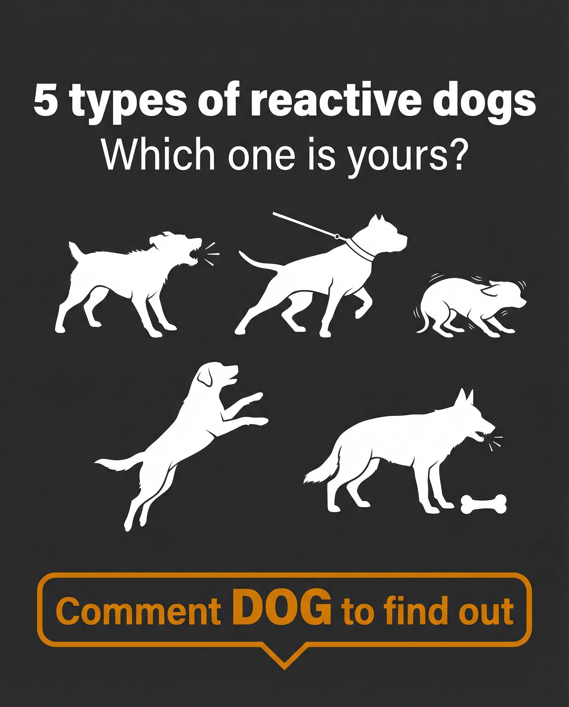 Dog Archetypes Facebook ad: Comment DOG and we’ll send you the free…