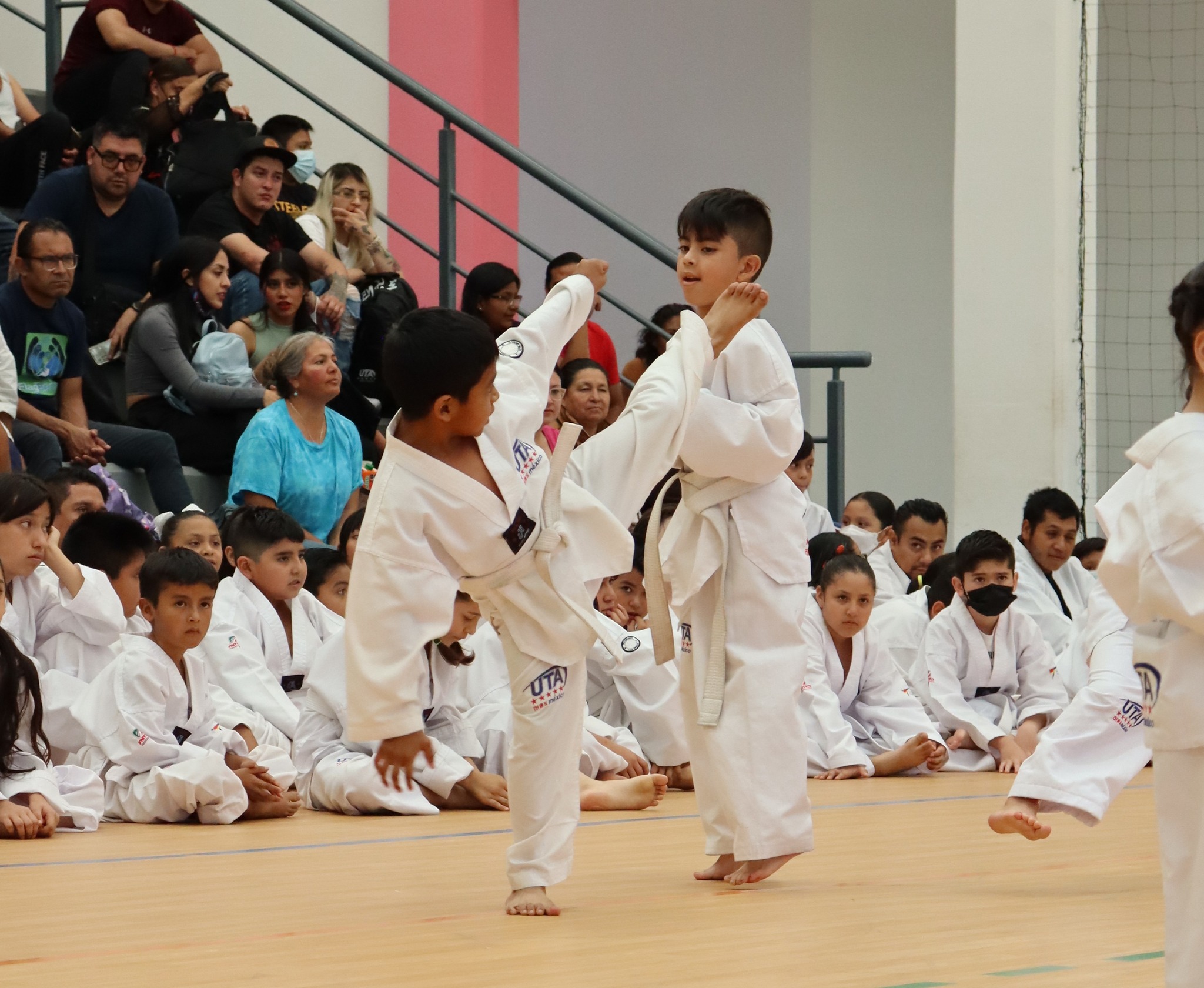 UTAekwondo Chimalhuacan Facebook ad: ¿Qué sigue ahora?