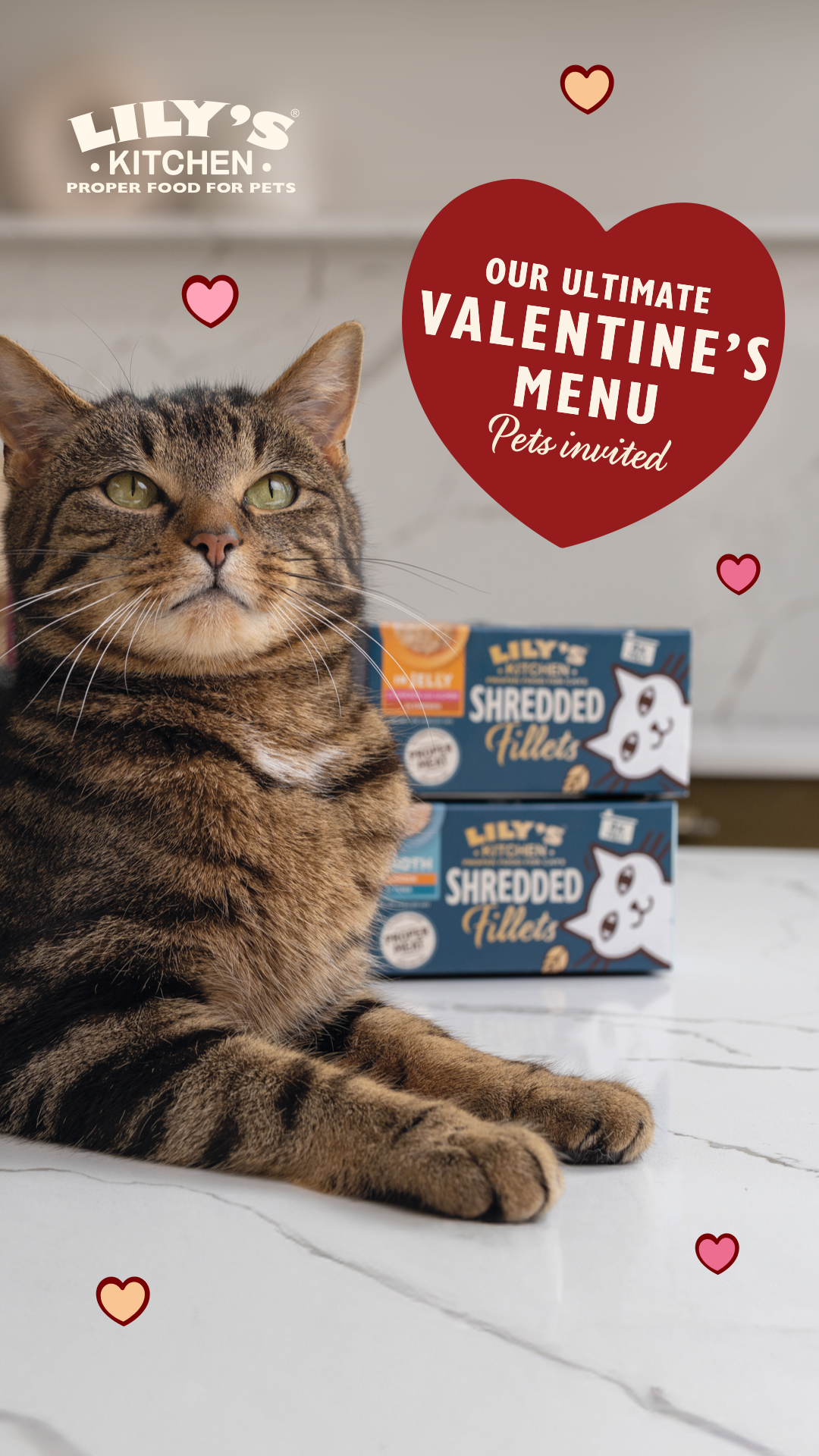 Lily's Kitchen Facebook ad
