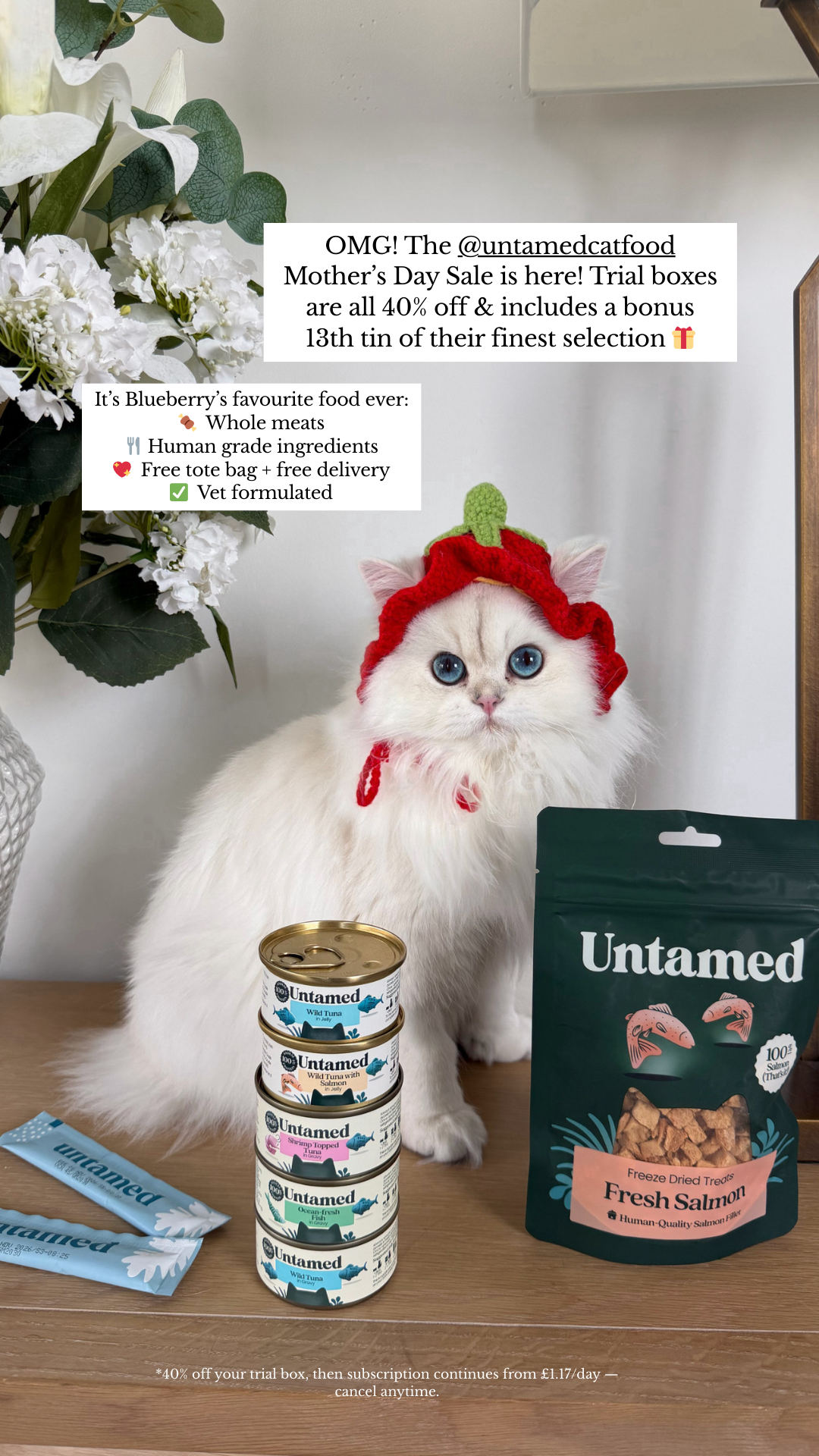 Our Cat Biscuit Facebook ad from Mar 6, 2026