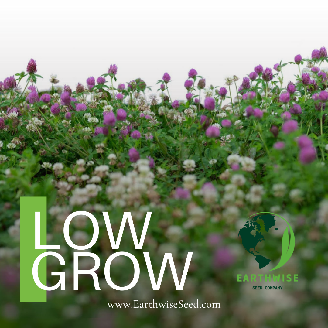 Earthwise Seed Company Facebook ad