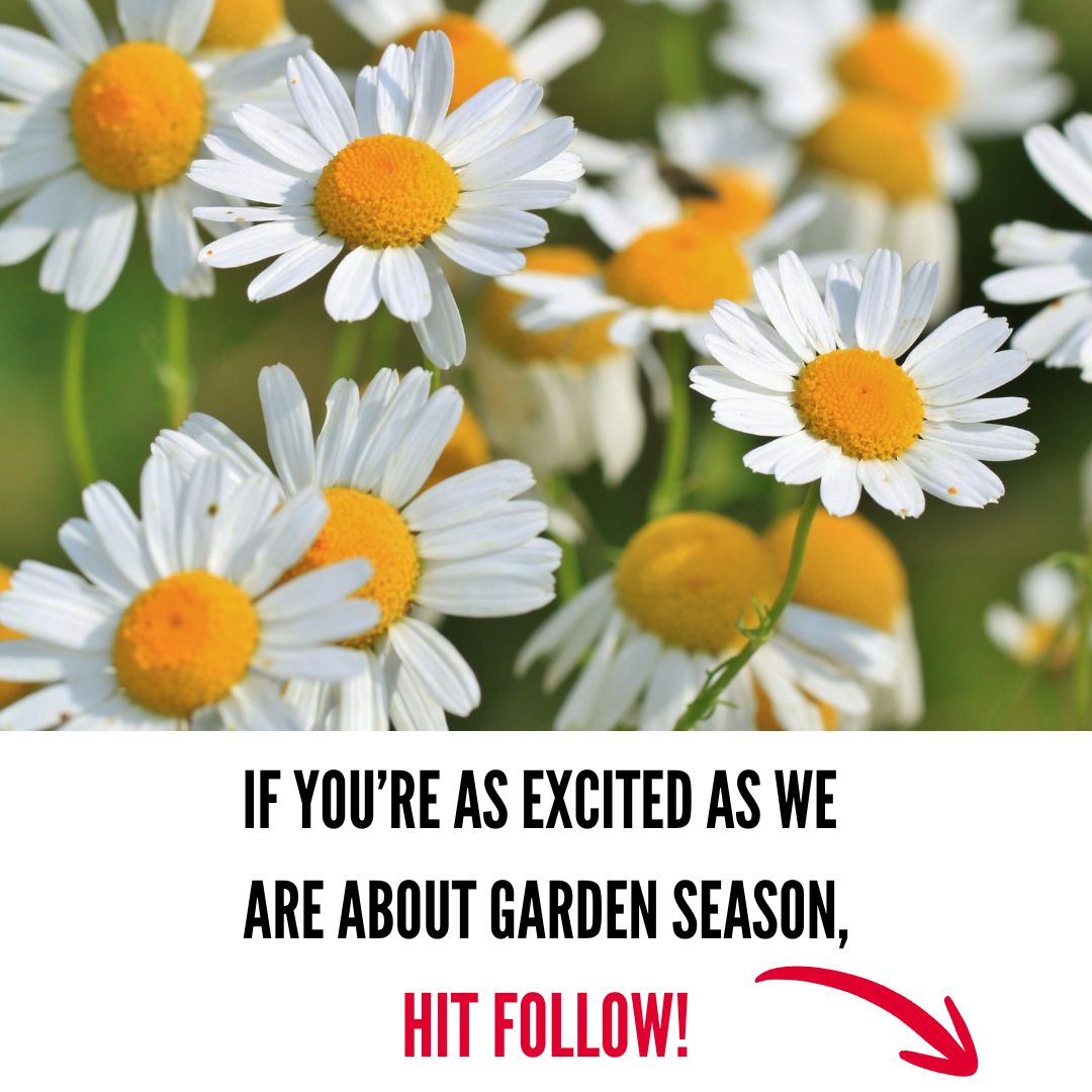 Texas Gardener Facebook ad from Mar 23, 2026