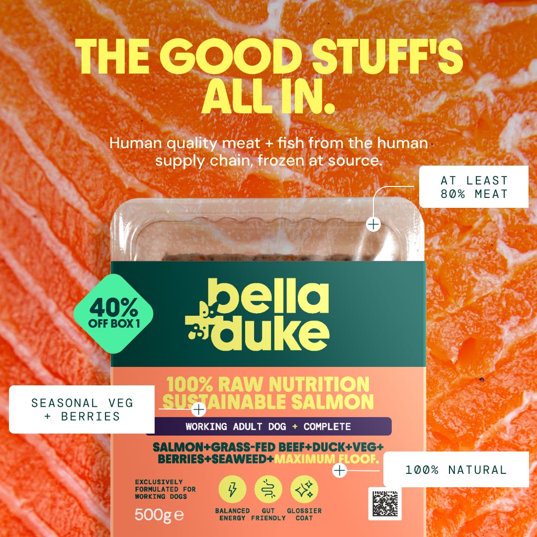 Bella+Duke Facebook ad