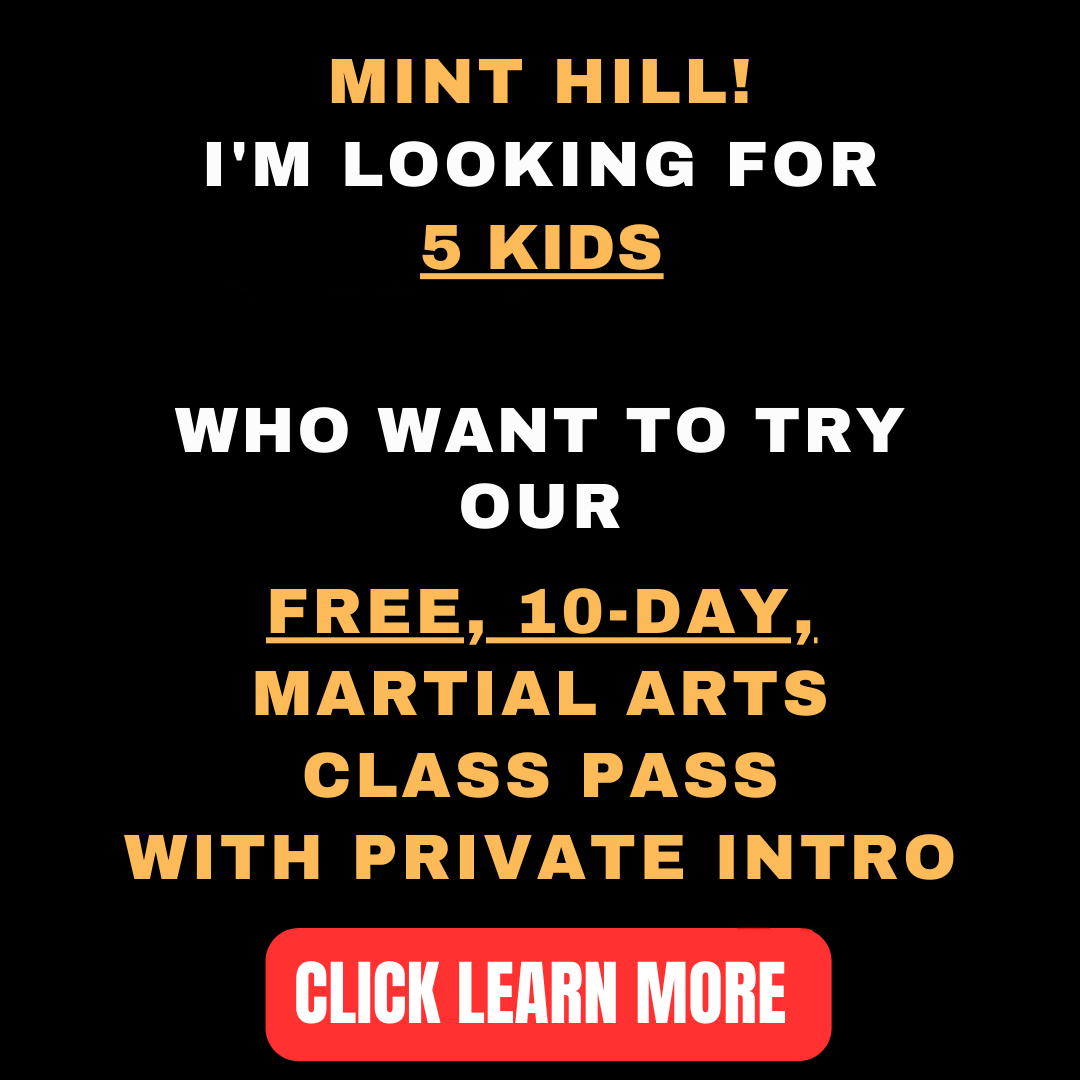 Elite Martial Arts Facebook ad: 10-Day Kids Martial Arts Pass (with 1 Private Lesson), FREE!