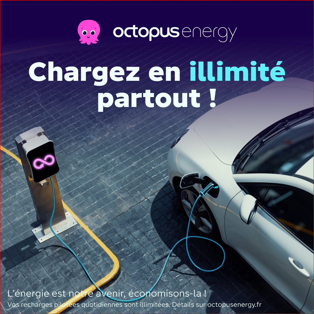 Octopus Energy Facebook ad