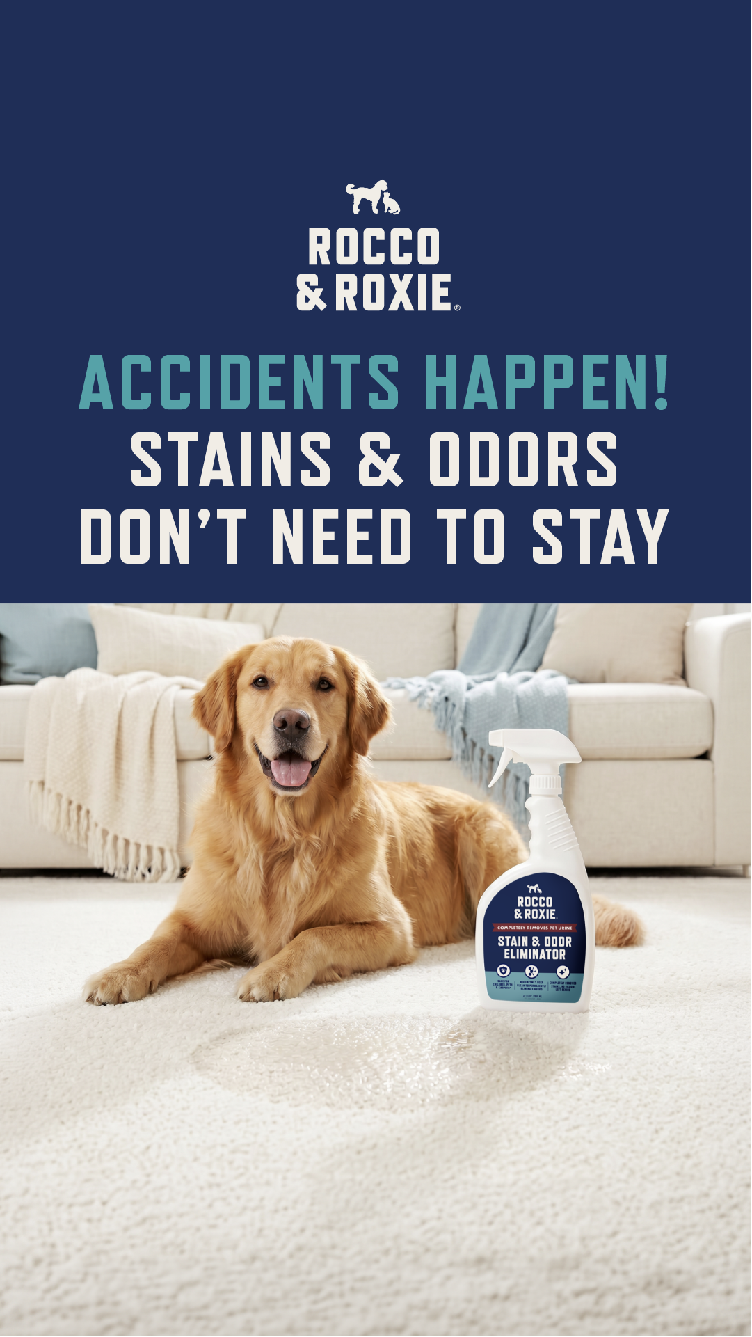 Rocco & Roxie Supply Co Facebook ad: Eliminate Stains & Odors