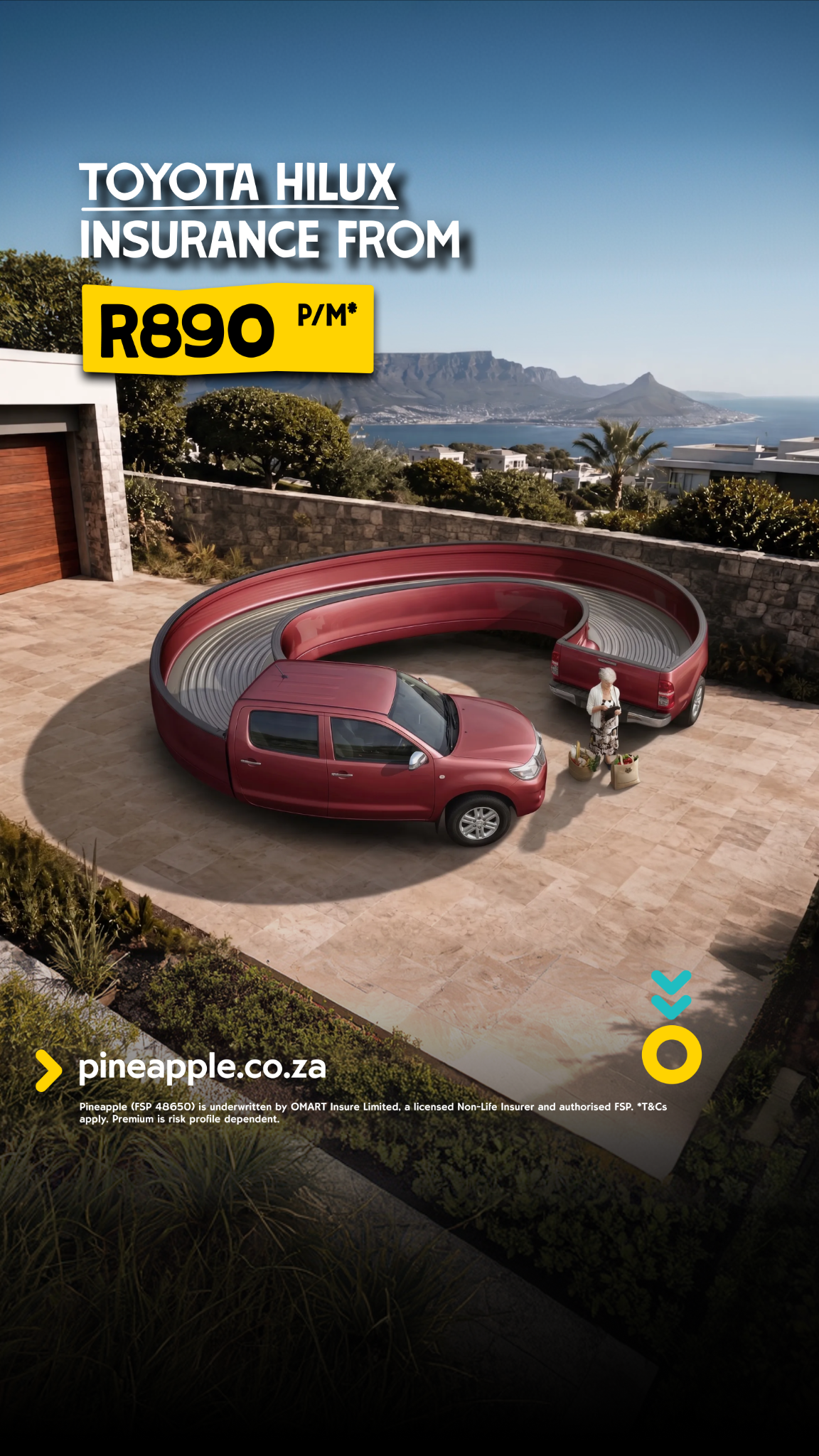 Pineapple Facebook ad