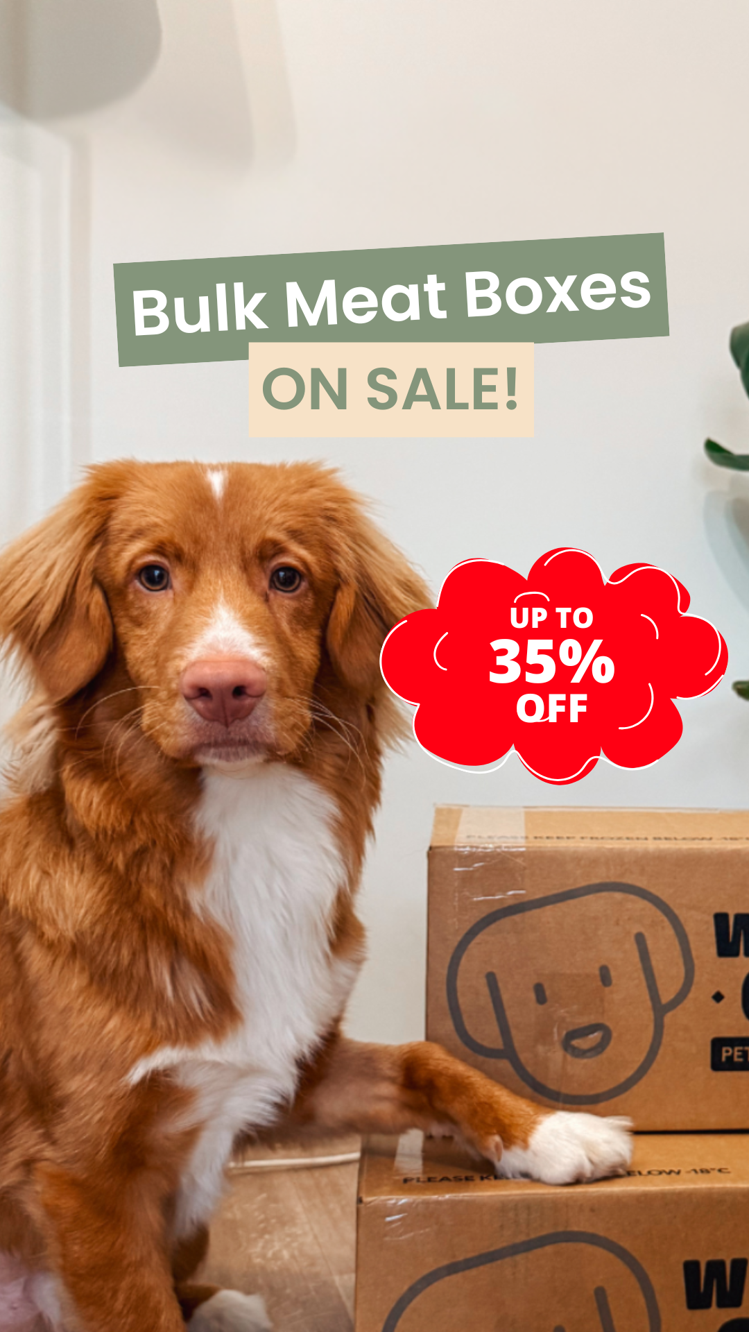 Wild Oz Pet Products Facebook ad