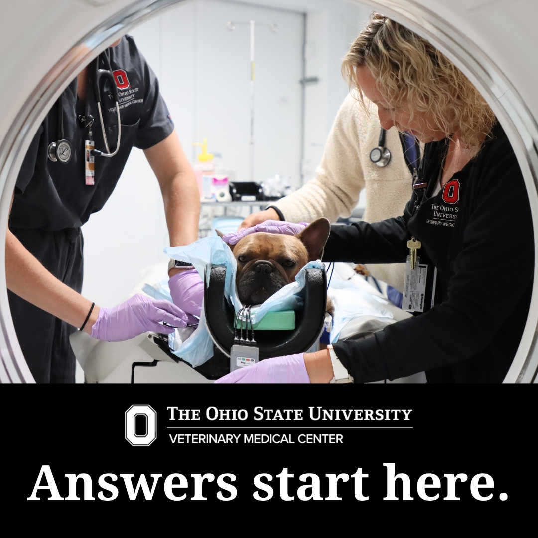 The Ohio State University Veterinary Medical Center Facebook ad: Answers start here.