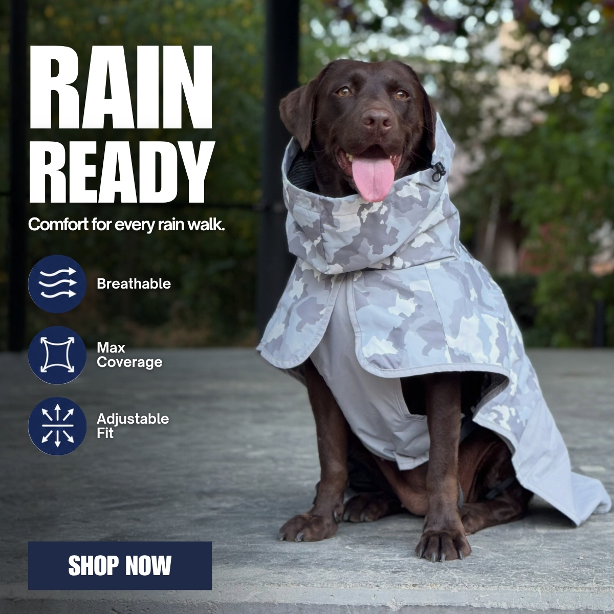 Spark Paws Facebook ad