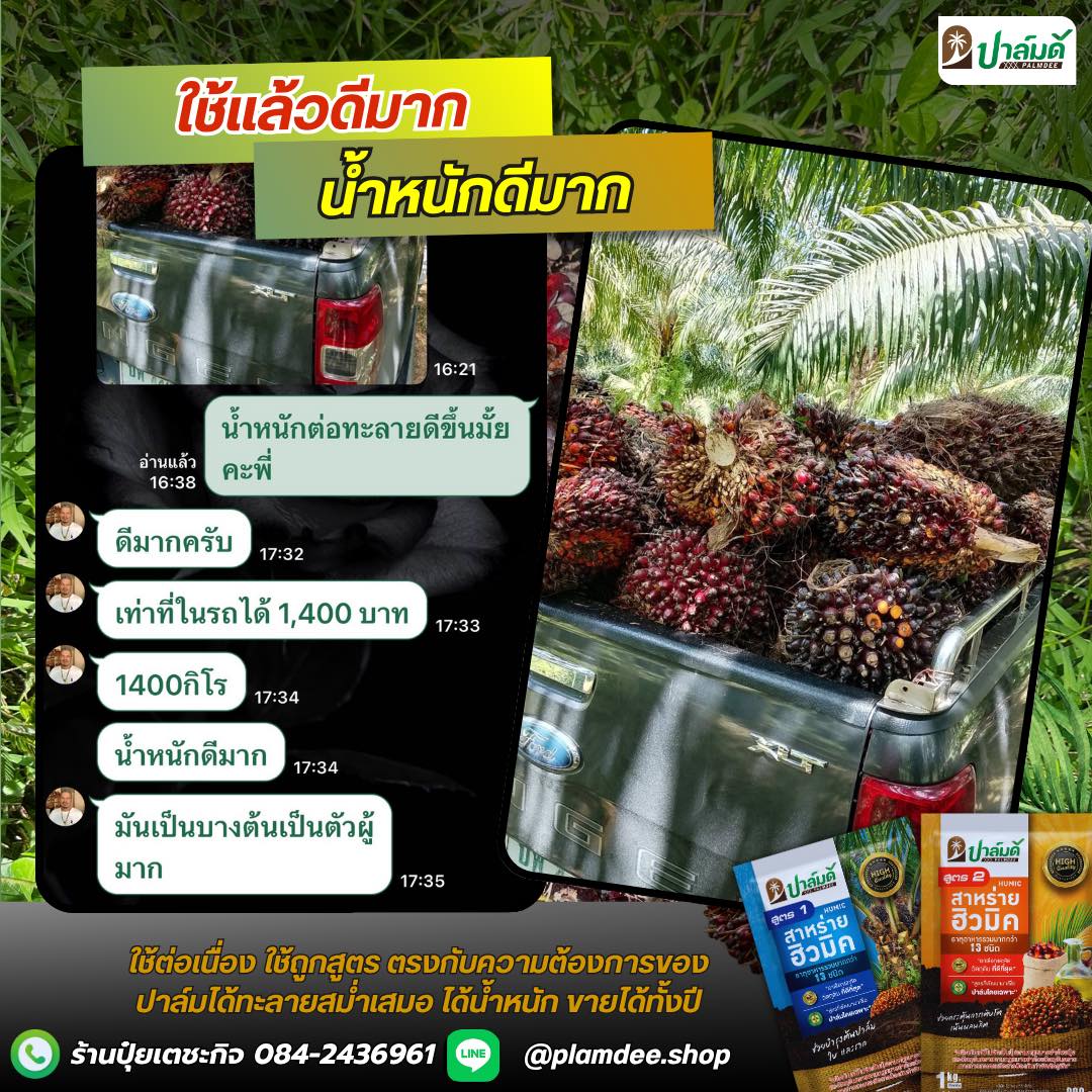 ร้านปุ๋ยเตชะกิจ - หมวยปาล์มดี จำหน่ายปุ๋ยปาล์มดีจากโรงงาน 084-2436961 Facebook ad