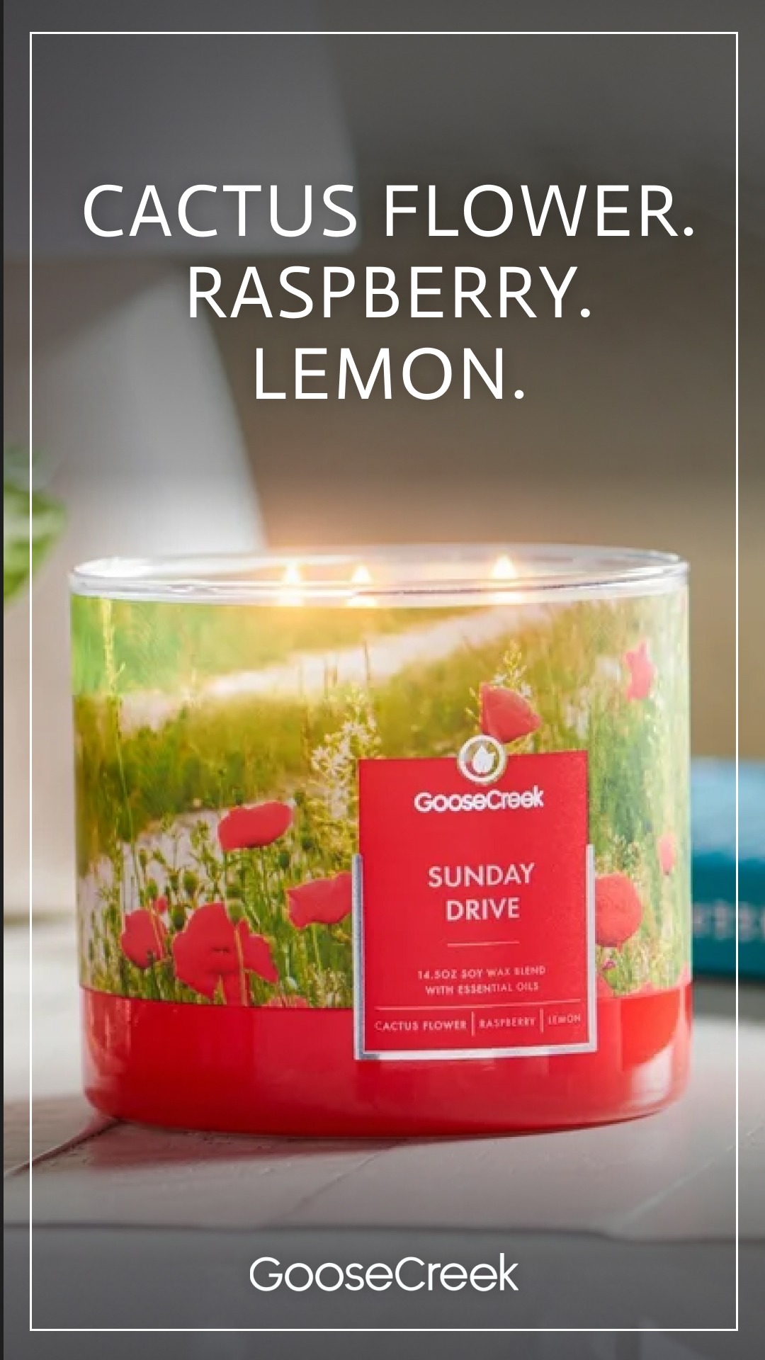 Goose Creek Facebook ad
