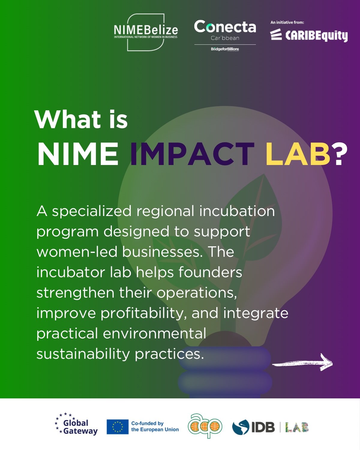International Network of Women in Business: NIME Facebook ad: Ready to turn your idea into impact?