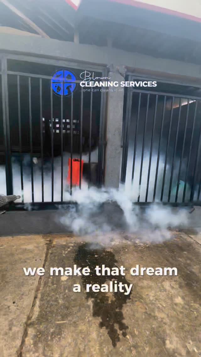 Blowncleaningservices Facebook ad: Book us today for your cleaning and pest…