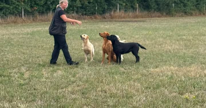 Jackie's Dog Walking & Training Facebook ad: Dog Walking, engaging walks.