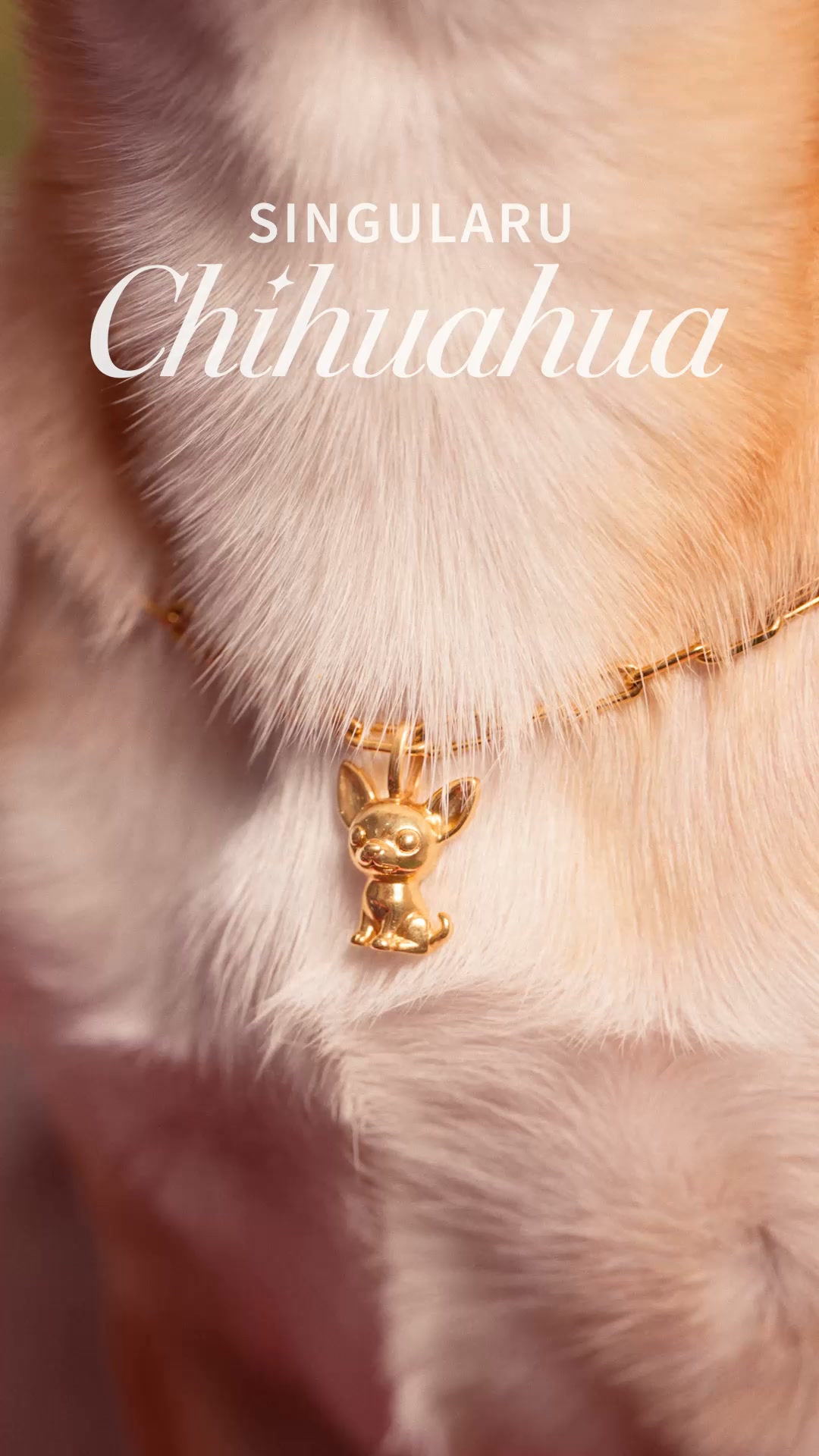 Singularu Jewels Facebook ad: Charm Chihuahua Baño Oro