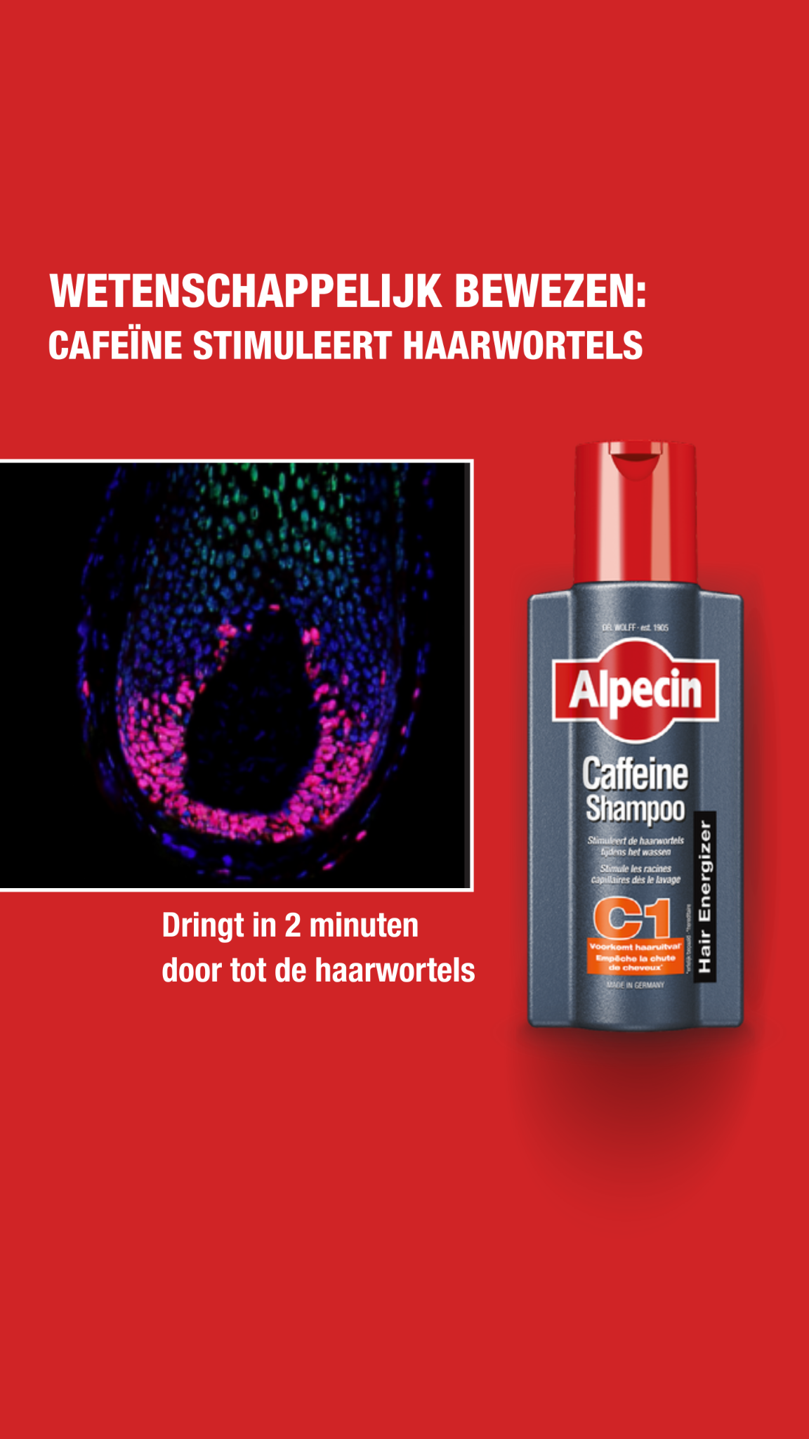 Alpecin Facebook ad