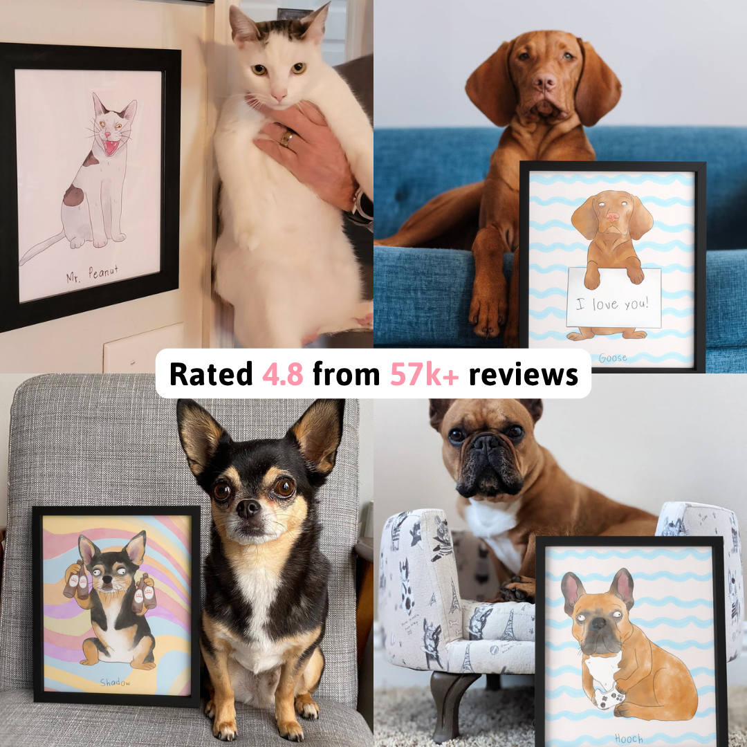 Crown & Paw Facebook ad