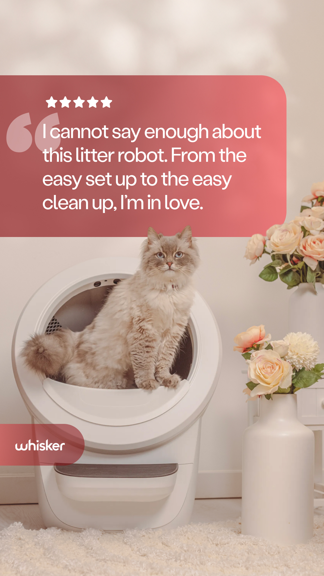 Whisker Facebook ad