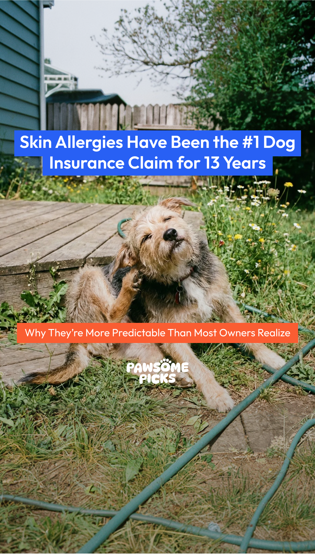 Pawsome Picks Facebook ad