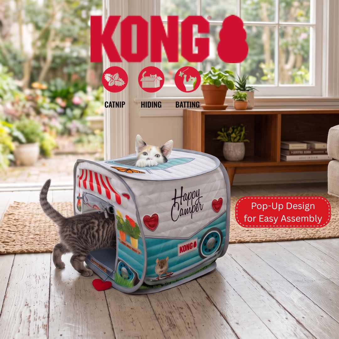 KONG Facebook ad