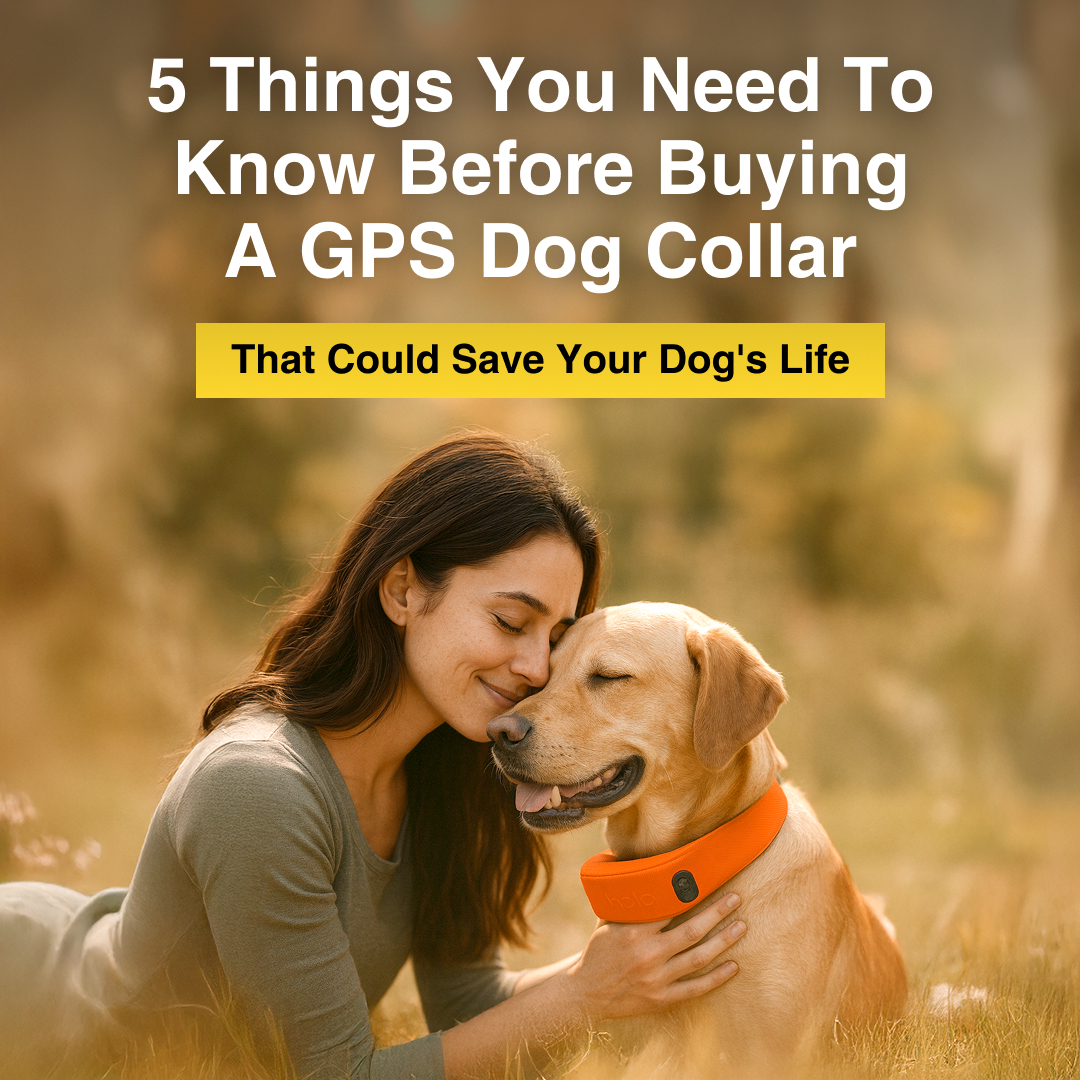 Technobark Facebook ad