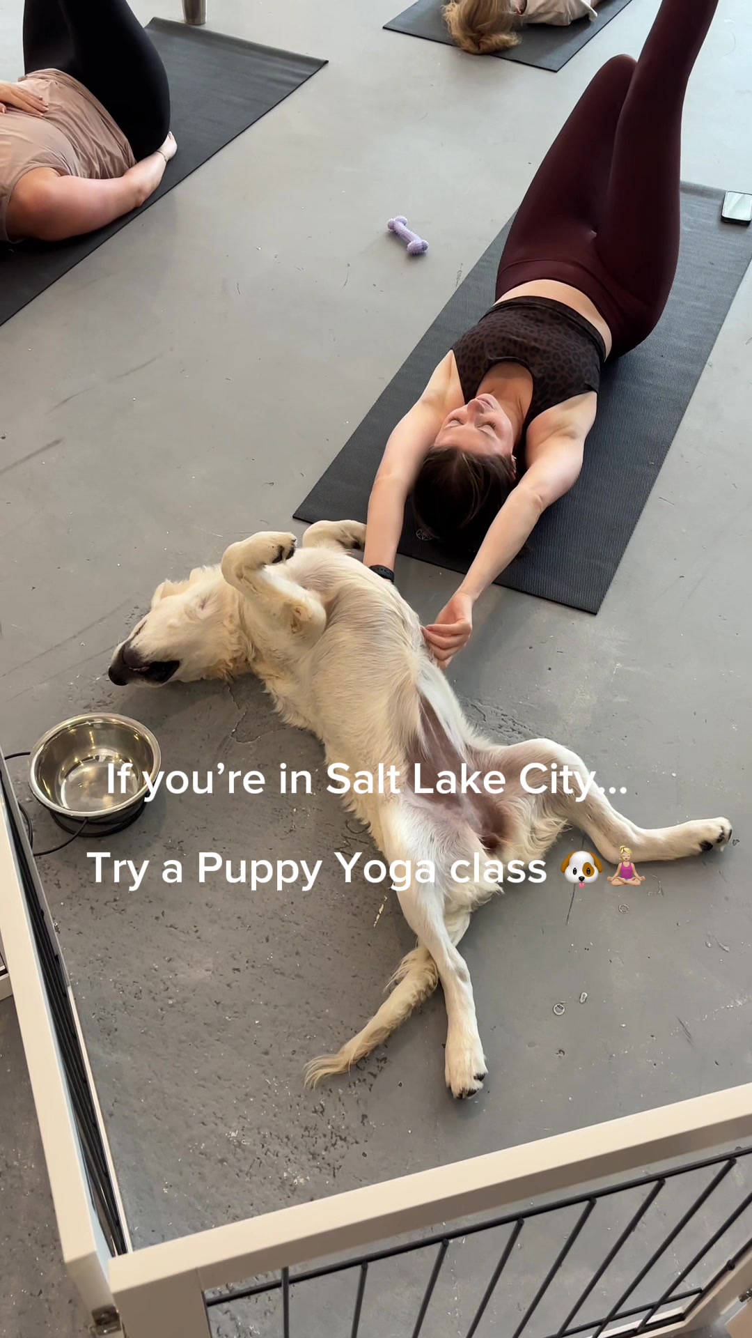 Puppies Yoga Salt Lake City Facebook ad: Book your class now!
